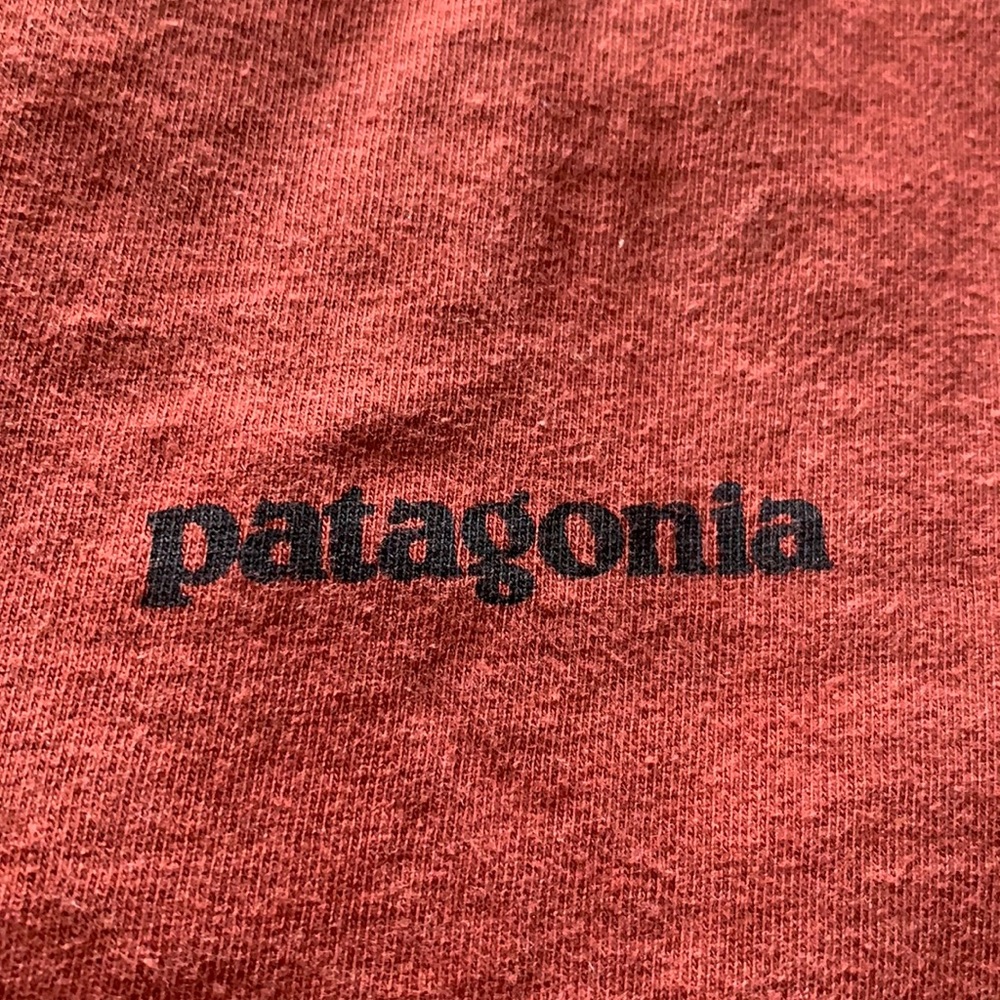 Patagonia T-Shirt